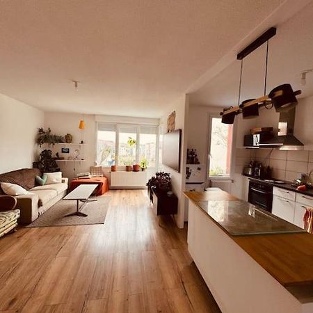 Bel Appartement Proche Mulhouse Pfastatt Eksteriør bilde
