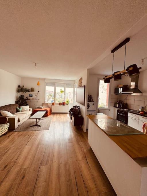 Bel Appartement Proche Mulhouse Pfastatt Eksteriør bilde
